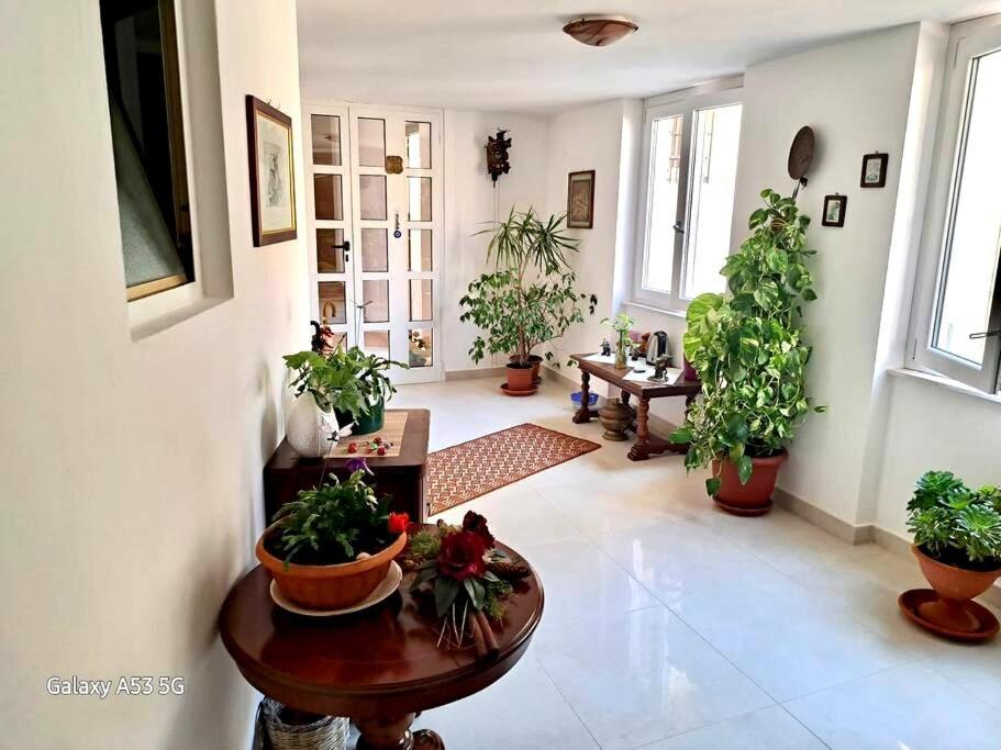 La Casa Di Tina Appartement Alghero Buitenkant foto