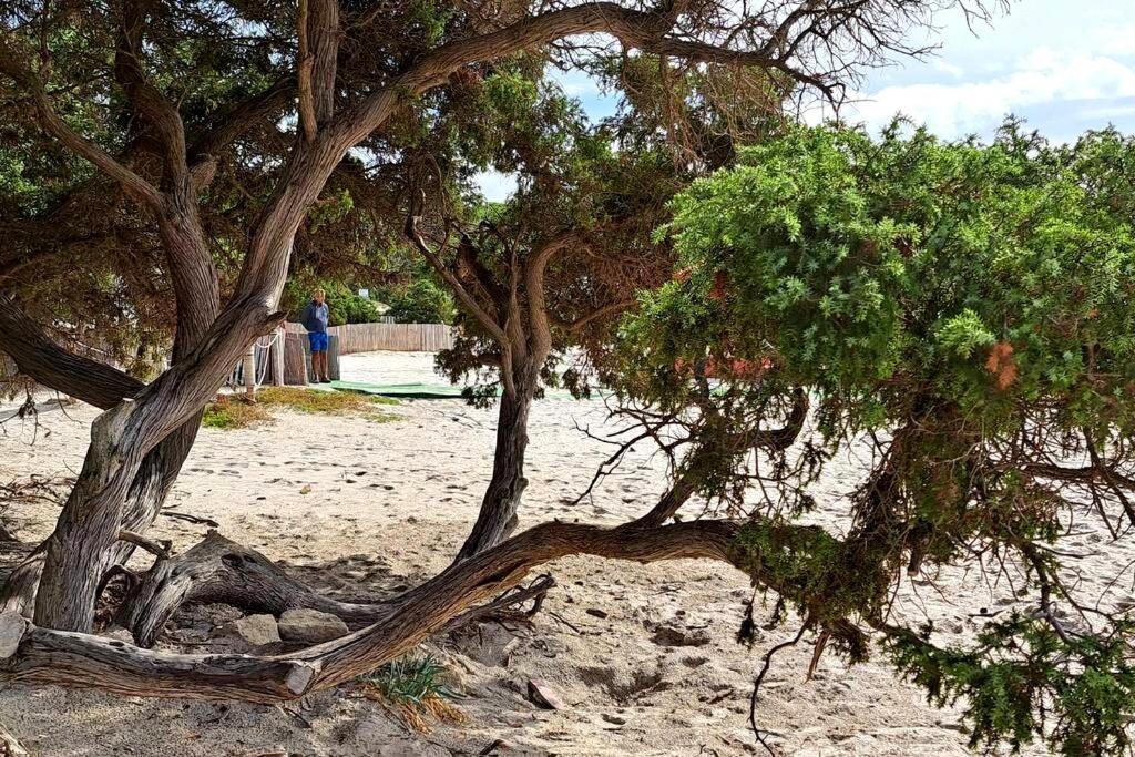 La Casa Di Tina Appartement Alghero Buitenkant foto